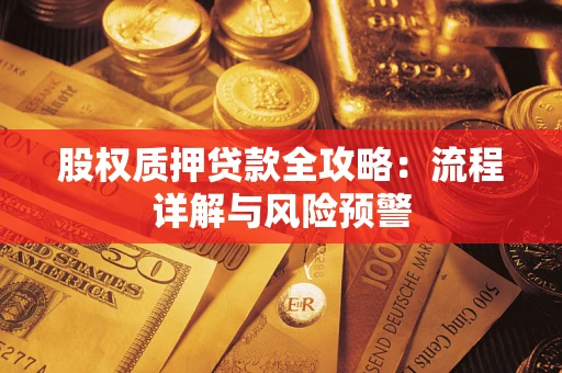 武汉股权质押贷款全攻略：流程详解与风险预警