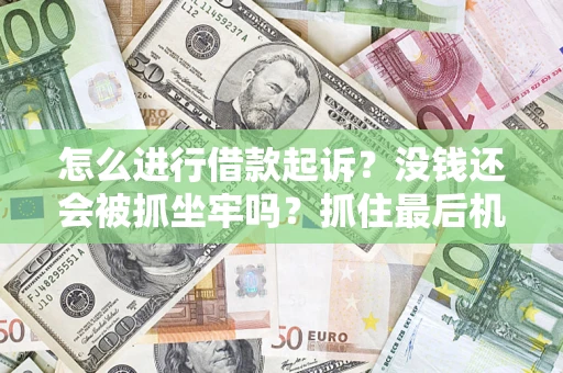 武汉怎么进行借款起诉？没钱还会被抓坐牢吗？抓住最后机会！