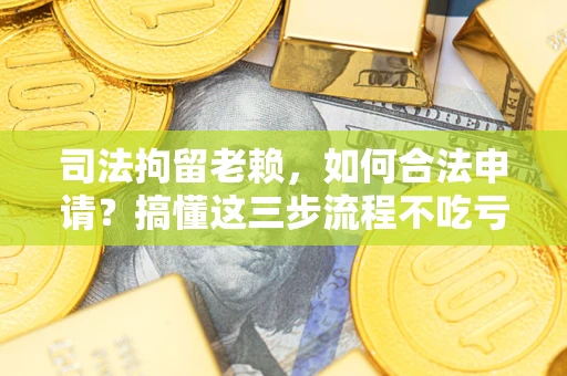 武汉司法拘留老赖，如何合法申请？搞懂这三步流程不吃亏！
