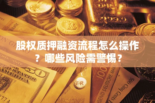 武汉股权质押融资流程怎么操作？哪些风险需警惕？