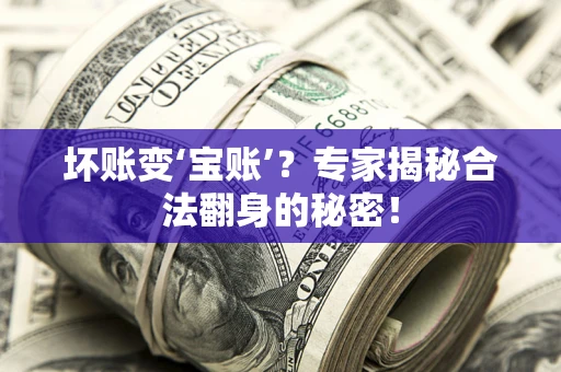 武汉坏账变‘宝账’？专家揭秘合法翻身的秘密！
