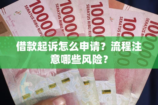 武汉借款起诉怎么申请？流程注意哪些风险？